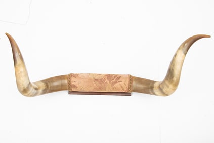 Fine vintage pair of very nicely mounted Long Horns on wooden wall board, 30 1/2" spread, great