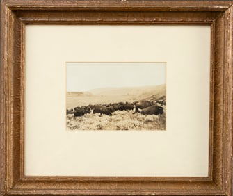 Framed Photograph by Edward Sheriff Curtis (Attribution), (1868-1952), titled "Buffalo And Cowboy On