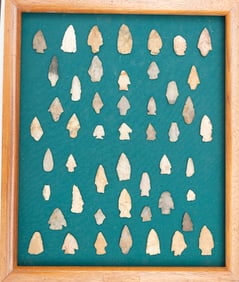 Wooden open front Display Case, measures 20" X 24", with a collection of 50 Arrowheads and Flint.