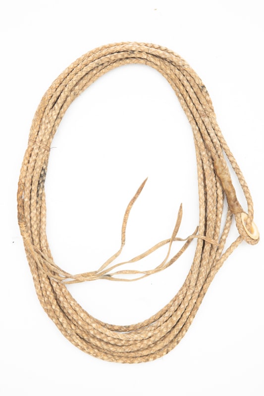 Vintage braided rawhide Reata, approximately 32 ft. long, with very unusual leather wrapped bone: Vintage braided rawhide Reata, approximately 32 ft. long, with very unusual leather wrapped bone hondo. EARLE ESTATE.