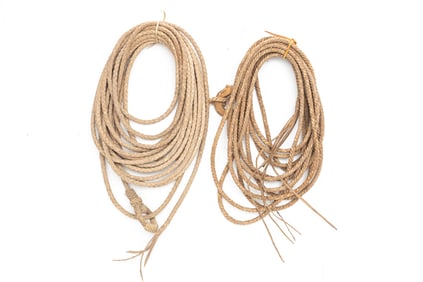 Two Rawhide Reatas, one is approximately 30 ft. long with unusual rawhide hondo. One is
