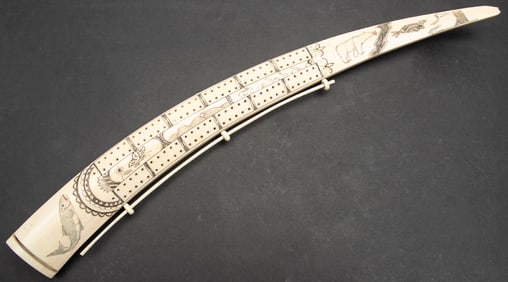 Beautiful Scrimshaw hand carved Walrus Tusk, 26" L x 2 1/2" at widest point. Carving includes polar