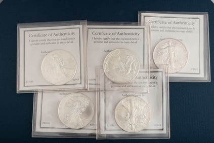 THIS LOT WILL BE SOLD FIVE (5) TIMES THE BID, MEANING YOUR FINAL BID WILL BE MULTIPLIED 5 TIMES: A