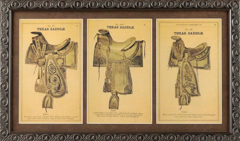 Framed Saddle Advertisement, three styles of Texas Saddles including the No. 80 Rose Tree; No. 203