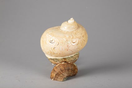 Unique hand carved Sea Shell with lighted back drop beautiful mother of pearl look, incredible