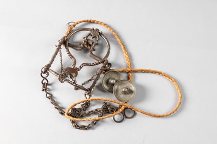 Impressive Iron Ring Bit complete with chains, copper mouth piece, and braided leather harness. This