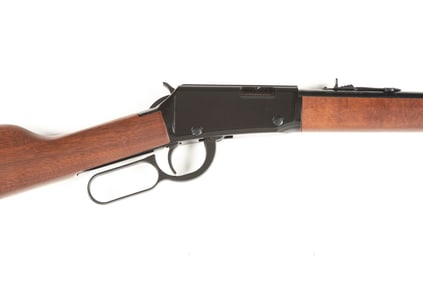 Attention Collectors of .22 Caliber Rifles: