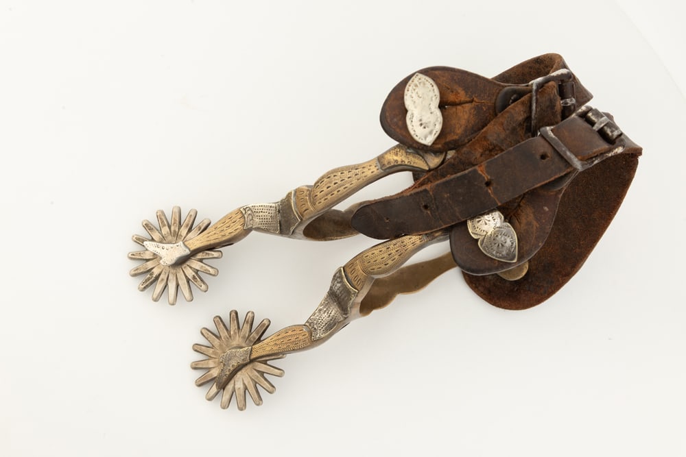 Pair of August Buermann, "Star" marked, "Hercules Bronze" marked double gal-leg, double mounted (1 of 2)