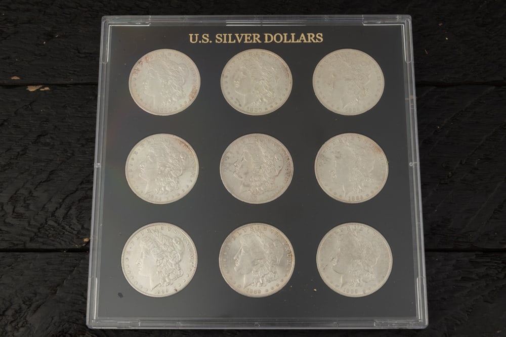 This lot will be sold nine times the bid, meaning your final bid will be multiplied 9 times: Nine: This lot will be sold nine times the bid, meaning your final bid will be multiplied 9 times: Nine (9) beautiful U.S. Morgan Silver Dollar Coins. These Silver Dollars are near uncirculated and were min