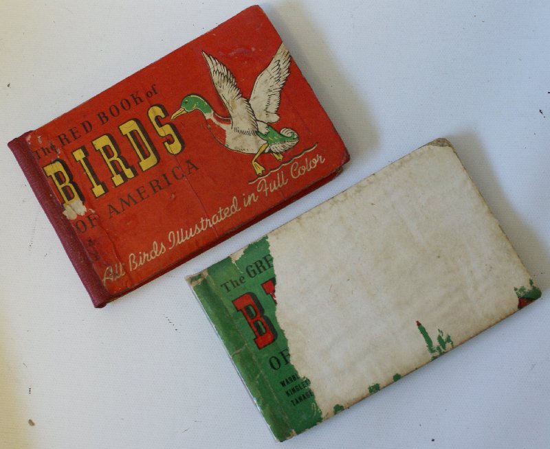 2 1931 BIRDS OF AMERICA BOOKS: THE RED BOOK & 1941 (1 of 2)