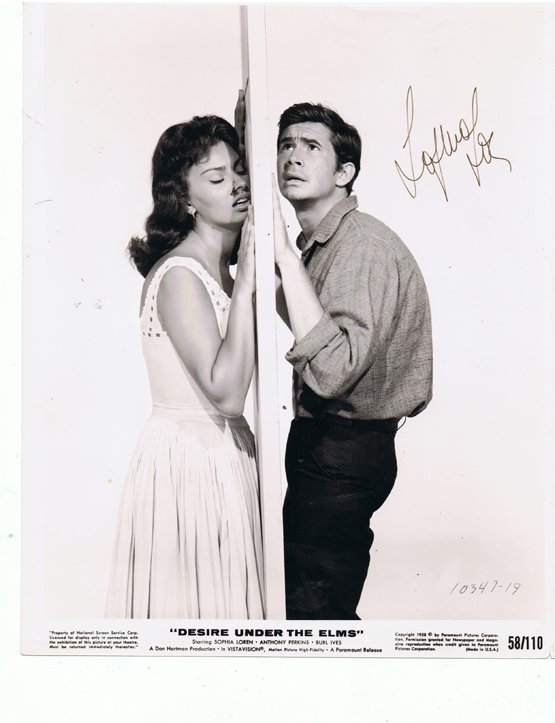 SOPHIA LOREN - 8 x 10 PHOTO W/ CERTIFICATE: SOPHIA LOREN - 8 x 10 PHOTO W/ CERTIFICATE FROM TODD MUELLER.Todd Mueller began collecting autographs in 1978 and now the owner of Todd Mueller Autographs. Todd Mueller has been in the Autograph indus