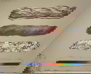Ardy Struwer - Untitled Lithograph