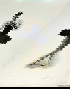 Douglas Hoffman - "Black Swan": Douglas Hoffman - "Black Swan". Hand-Signed Lithograph. 21 x 28. Excellent condition