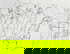 item-206456198=1