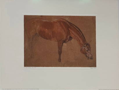 Sir Edwin Landseer - "Study of a Horse": Sir Edwin Landseer - "Study of a Horse". Printed on High Quality White/Cream Texture Paper. Designed by The Art Group Limited, London.. 16 x 20. Excellent condition