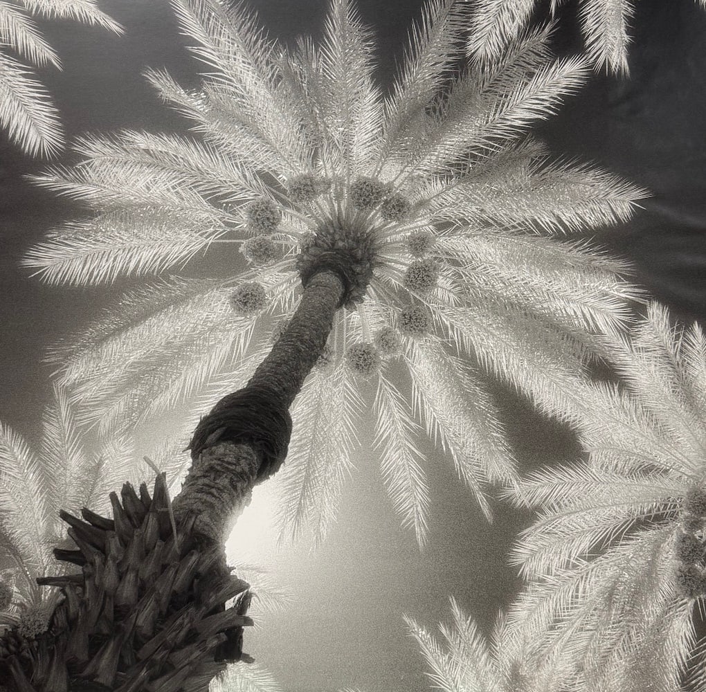 Amai - "Indian Wells": Amai - "Indian Wells". Reproduction Print. Circa 2003. 27.5 x 27.5. Excellent condition