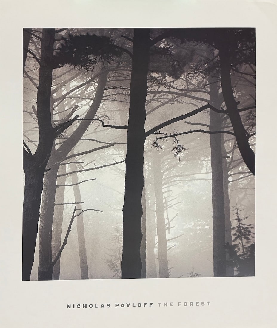 Nicholas Pavloff - "The Forest" (1 of 1)