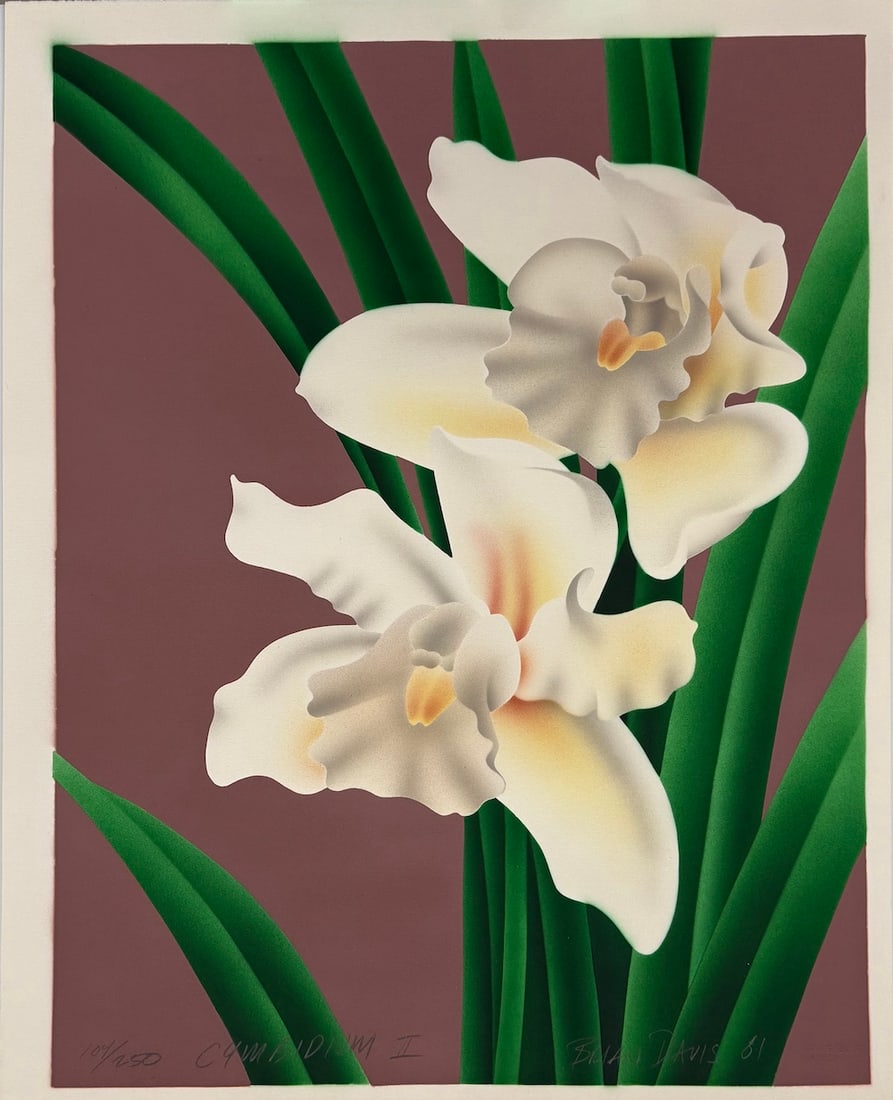 Brian Davis - "Cymbidium II": Brian Davis - "Cymbidium II". 1981. Limited Edition Airbrush Print. Hand Signed and Numbered by the Artist. 22 x 30. Excellent condition