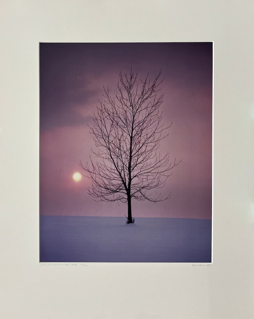 Nick Zungoli - "Snow And Single Tree" (1 of 1)