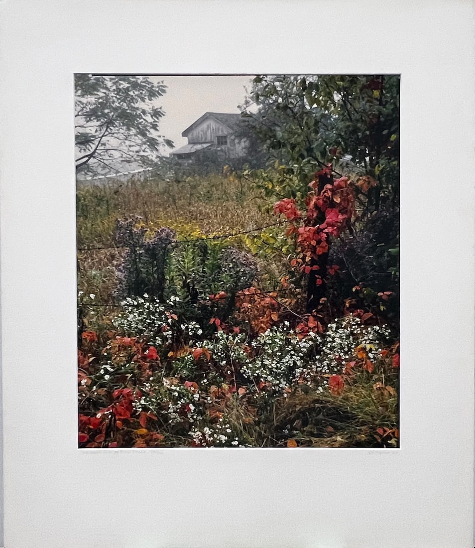 Nick Zungoli - "Old Barn And Autumn Flora": Nick Zungoli - "Old Barn And Autumn Flora". Limited Edition. Numbered 146/300. Mounted. Hand Signed by the Artist. 1983. 22 x 28. Excellent condition
