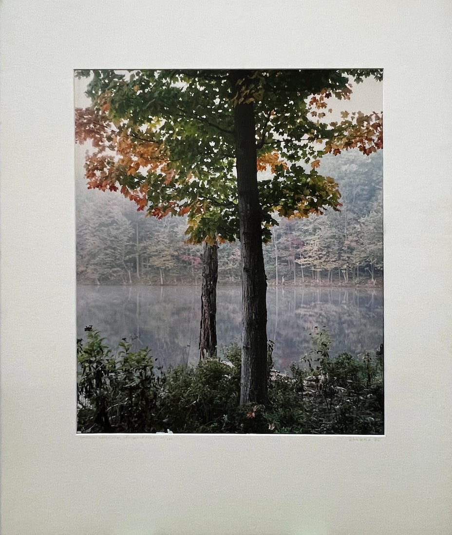 Nick Zungoli - "Autumn Morning, Mongavp Pond": Nick Zungoli - "Autumn Morning, Mongavp Pond". Limited Edition. Numbered 21/300. Mounted. Hand Signed by the Artist. 1985. 22 x 28. Light Staining on the edges. Excellent condition