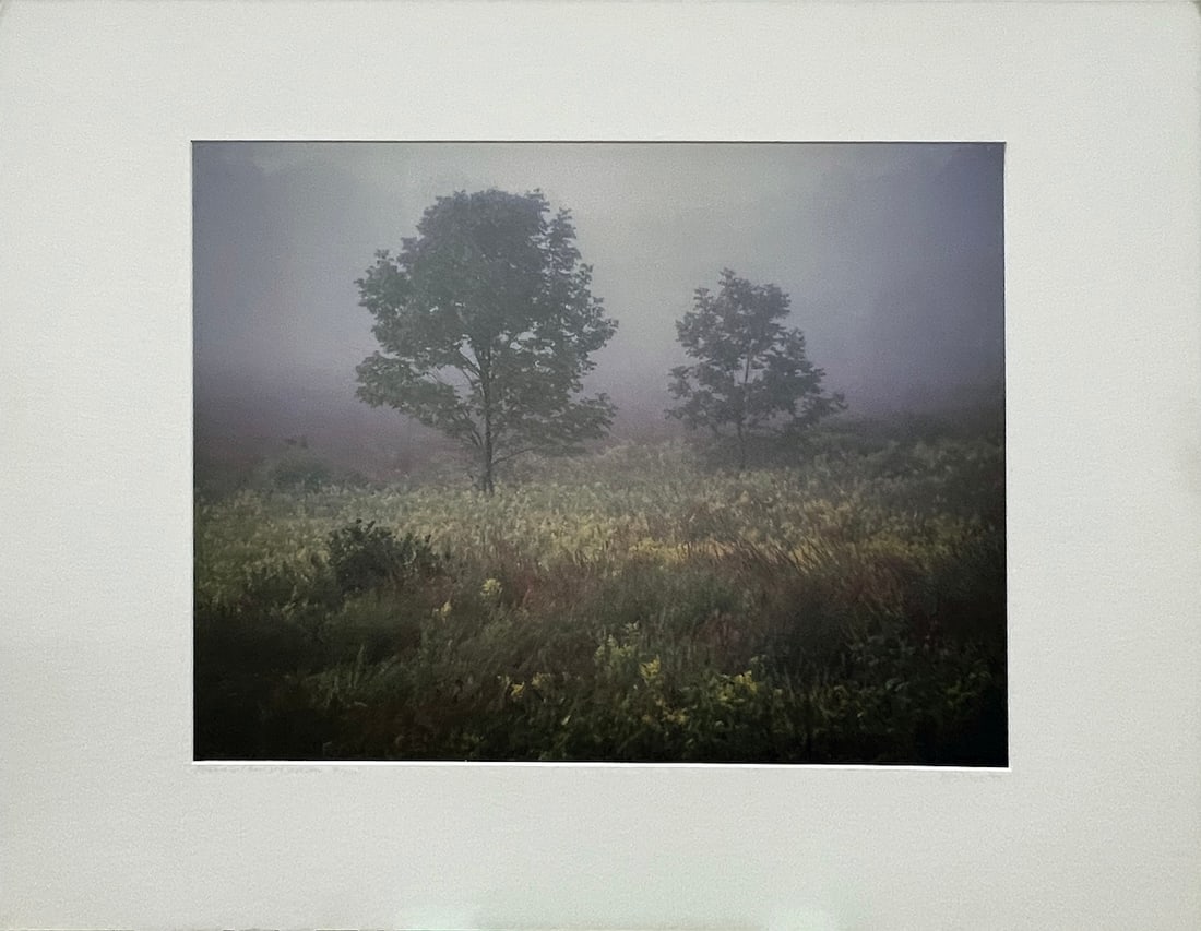 Nick Zungoli - "Morning From My Window" (1 of 1)