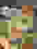 item-60670192=3