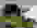 item-60720576=4