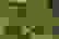 item-60766133=4