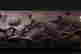 item-67717594=2