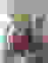 item-44558086=3