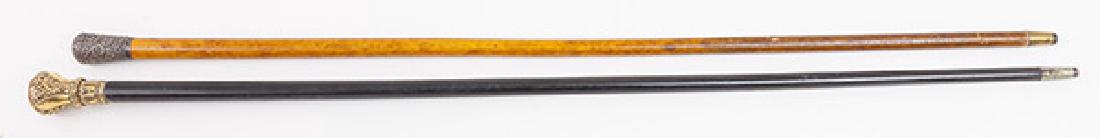 Two Early Walking Sticks (1 of 6)