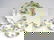 261: RS Prussia 7 Pc. Berry Set w/ Hanging Basket