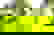 item-747107=2