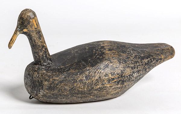 Virginia Coot Wood Decoy: Nice primitive from in original worn black & white painted finish with lead weight on base, 10 x 4 1/2 x 6" high. Condition minor shrinkage line in body, paint circa 80%.