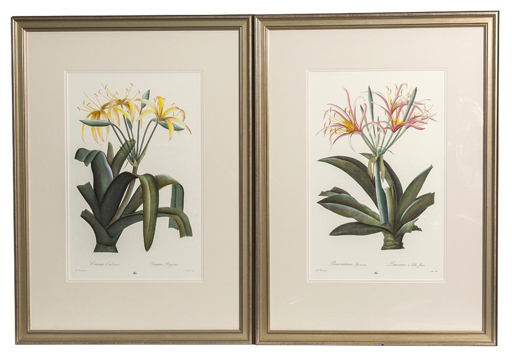 Two Botanical Prints (1 of 8)