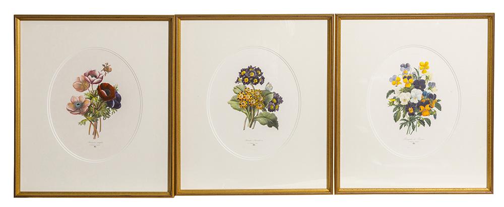 Three Botanical Prints (1 of 7)