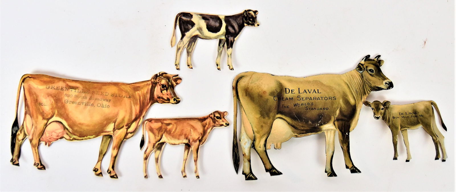 De Laval Dairy Cows (1 of 5)