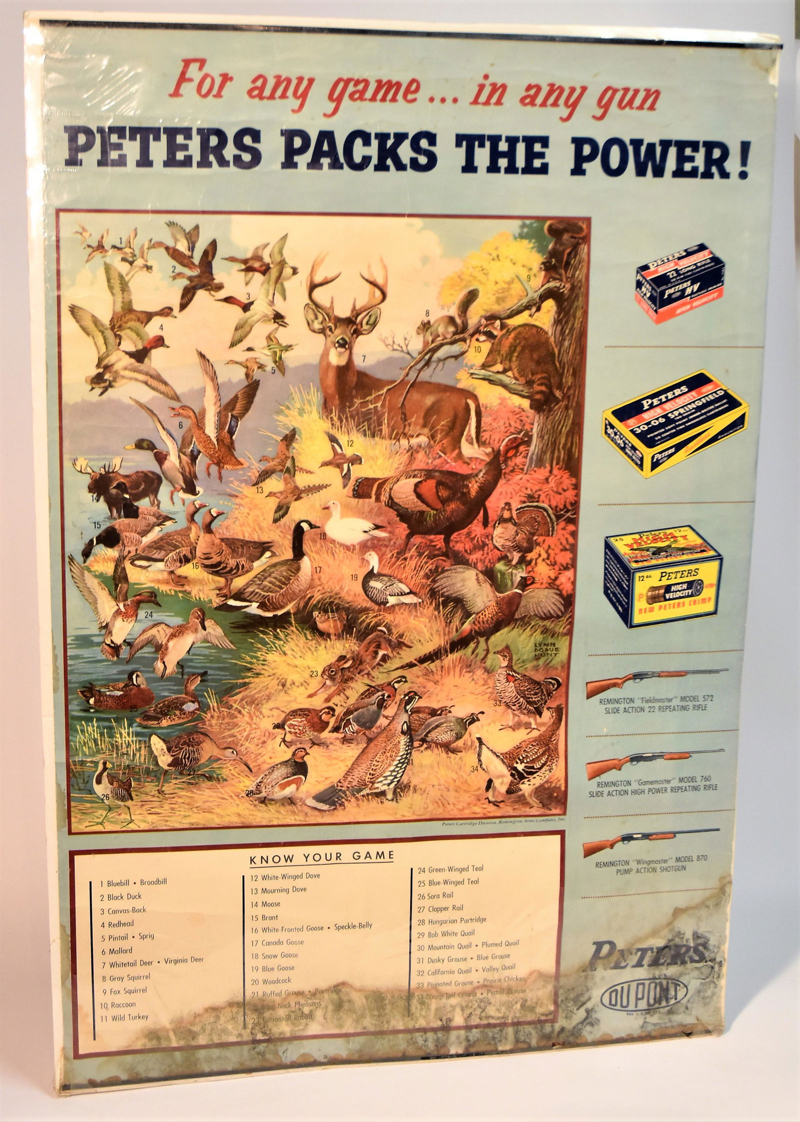 Peters Chromolithographed Poster (1 of 6)