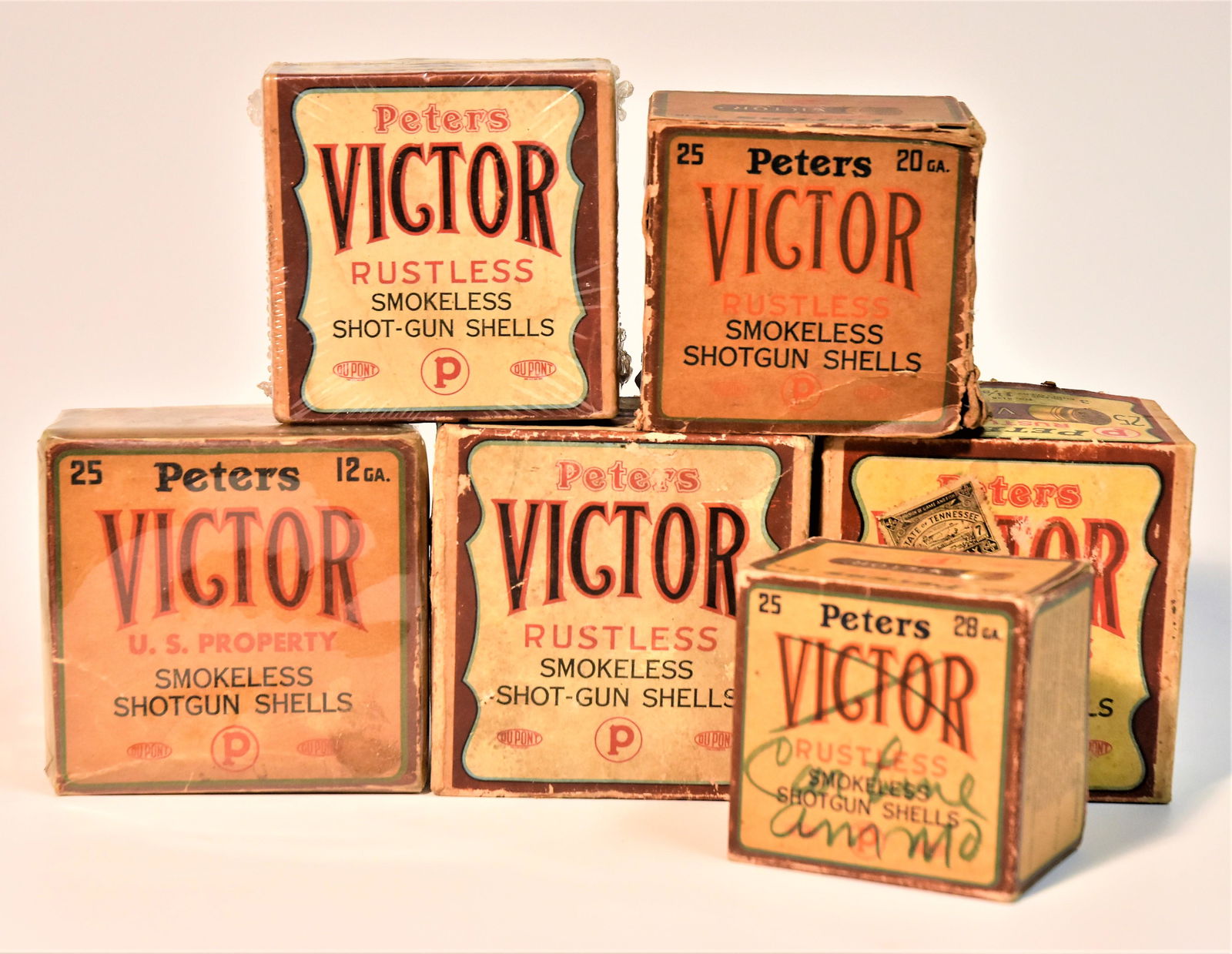 Six Peters Shell Collector Boxes (1 of 7)