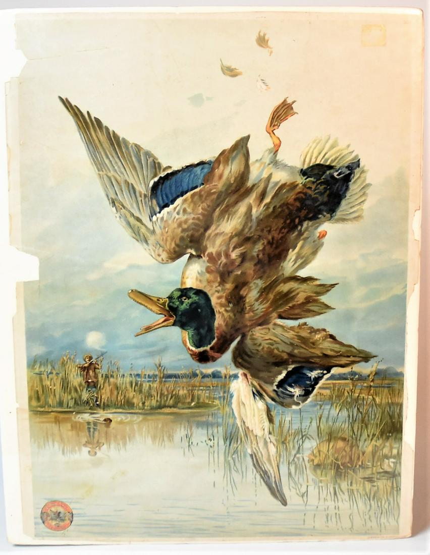 Rare Kings Powder Busted Duck Poster (1 of 5)