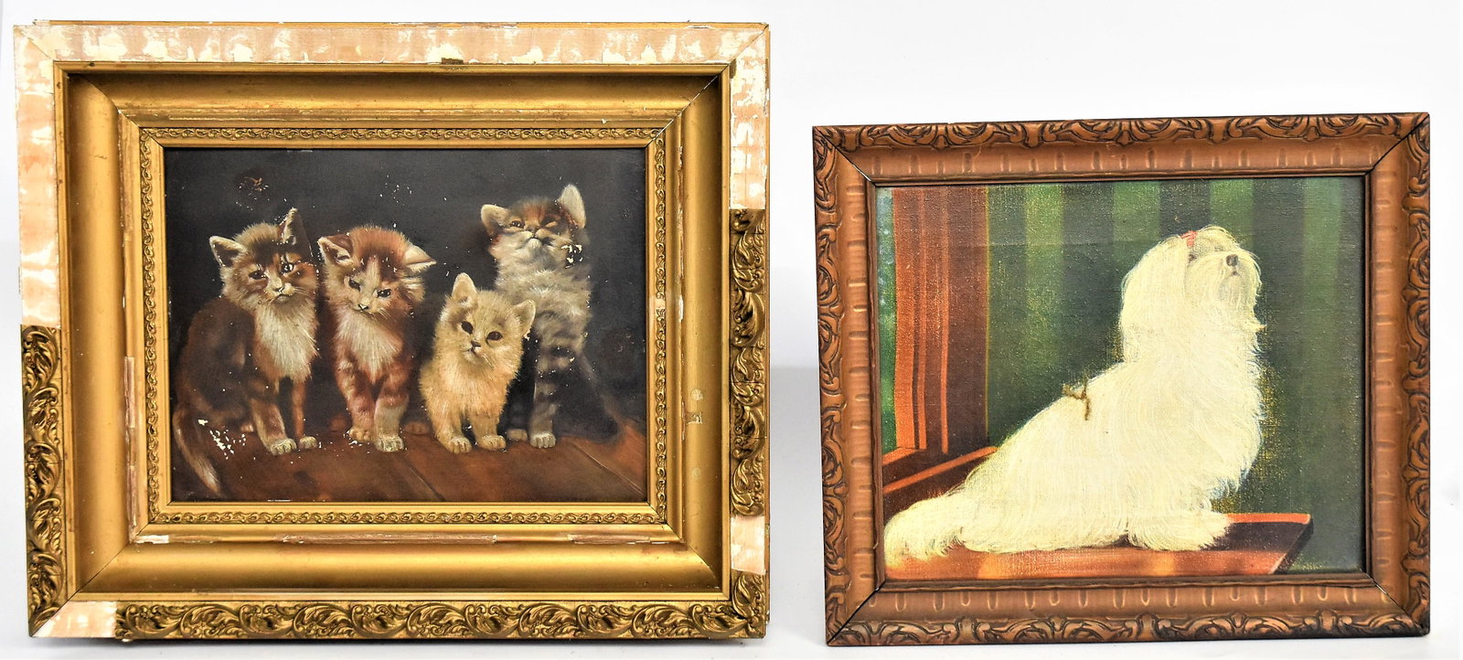 Oil Paintings West Highland Terrier & Kittens: Both anonymous early 20th century oil on canvas of a West Highland terrier seated on a table at a window, Detroit, framers label on back, 12 x 10”, in original frame, 14 ½ x 12 12”; and oil on pa