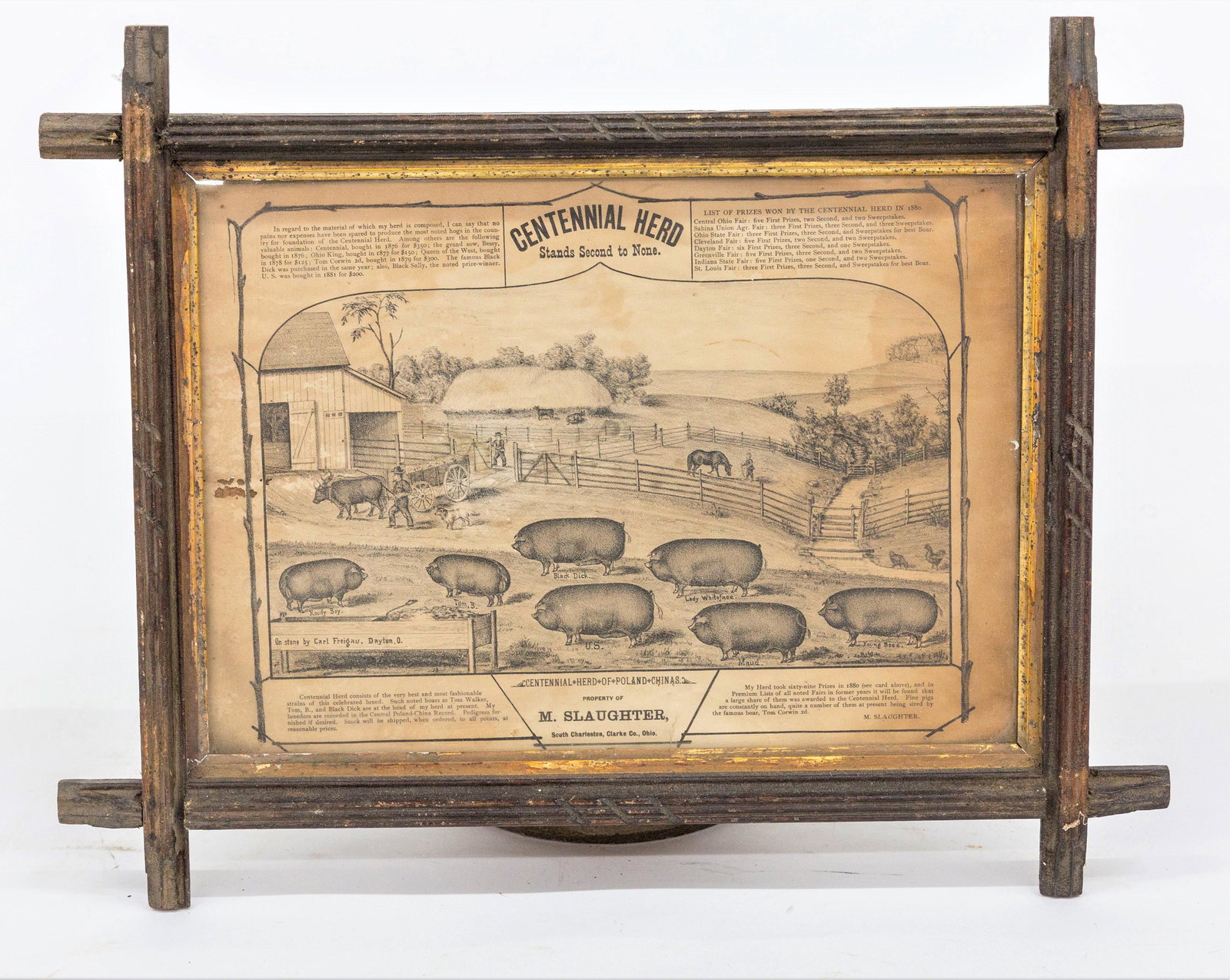 Fine Ohio Hog Advertising Lithograph (1 of 10)