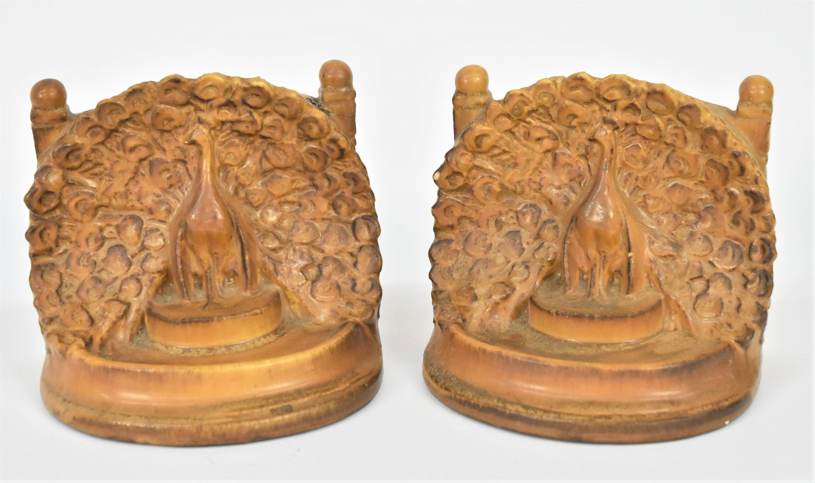 Rookwood Peacock at Fence Bookends (1 of 7)