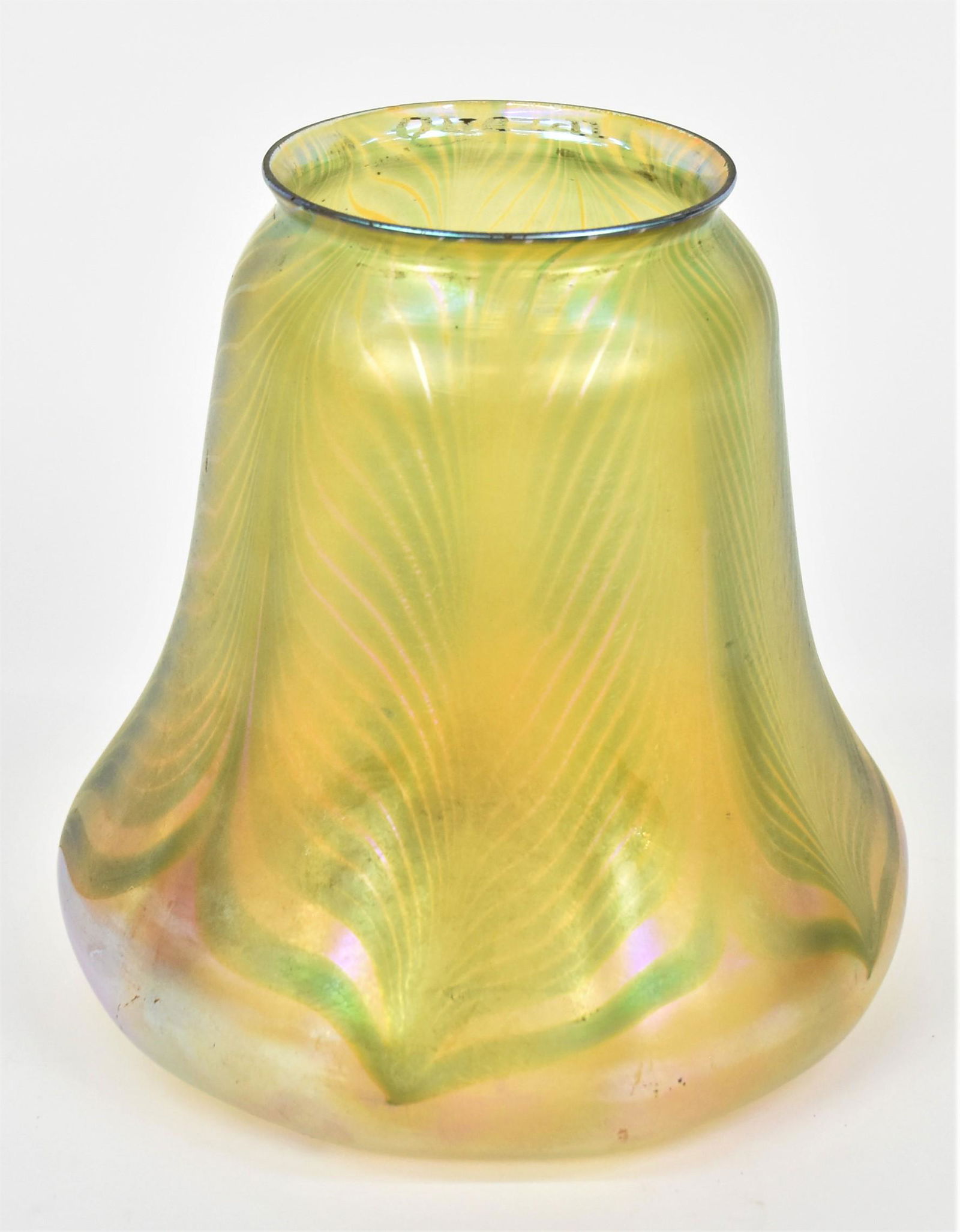 Large Quezal Pulled Feather Gas Light Shade (1 of 6)