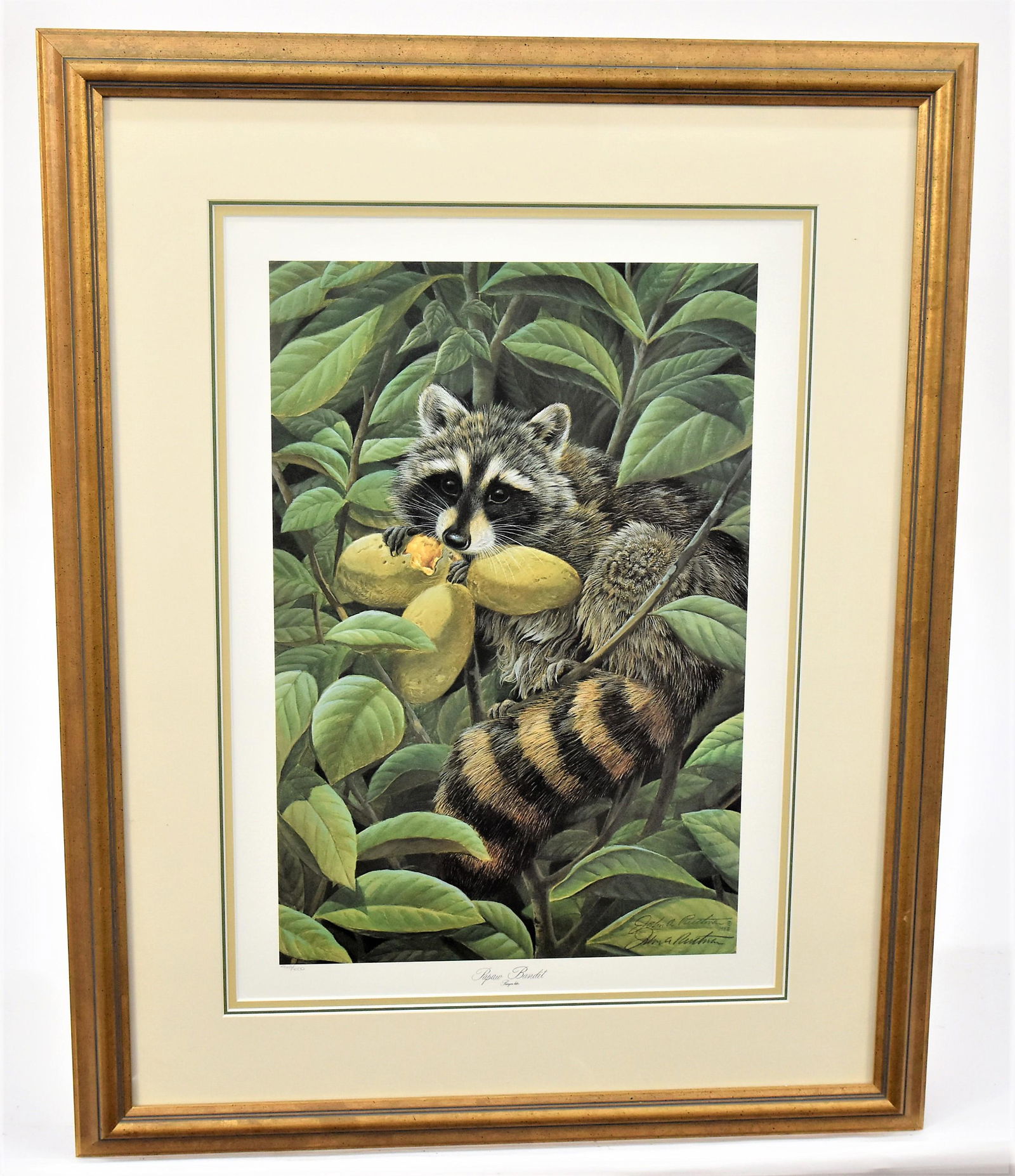 John A. Ruthven Pawpaw Bandit Lithograph (1 of 5)