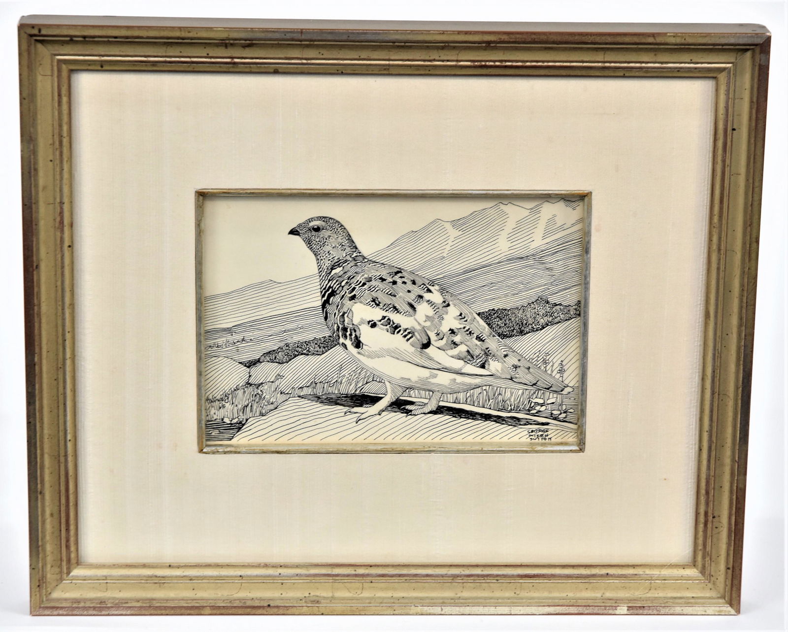 Geo. M. Sutton Ink Drawing of Partridge (1 of 5)