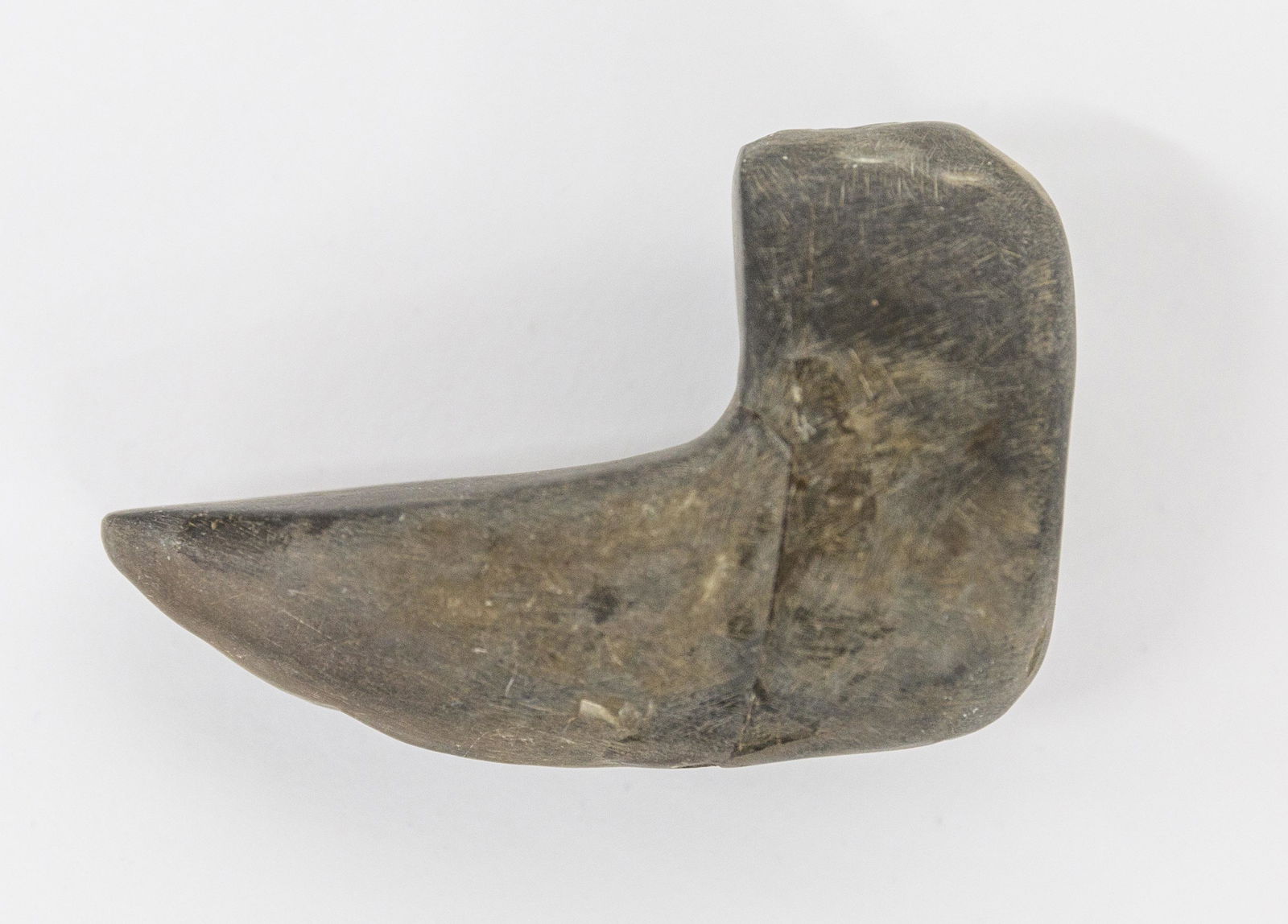 Native American Geniculate Bannerstone (1 of 7)