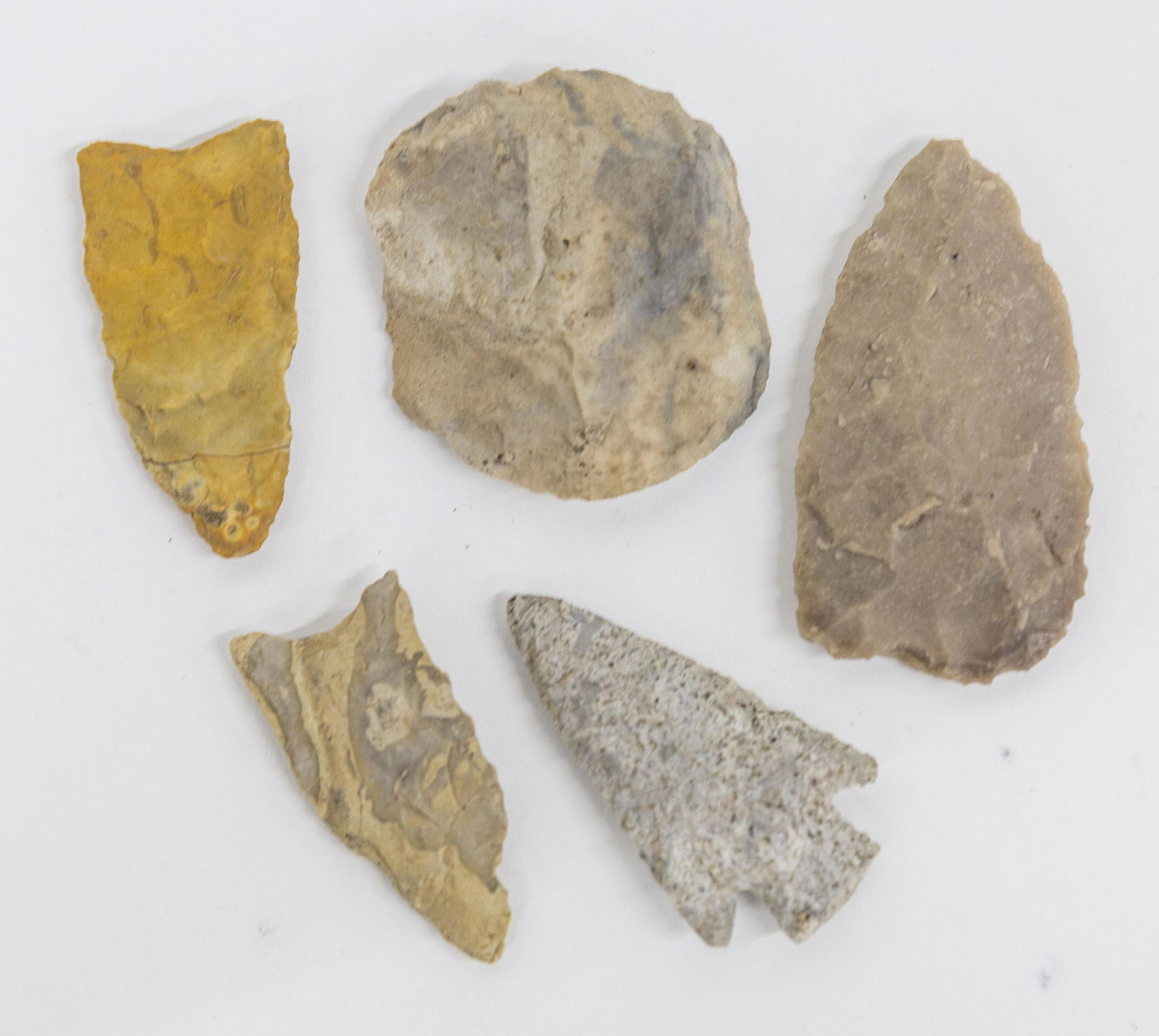 Five Native American Points Including Clovis (1 of 3)