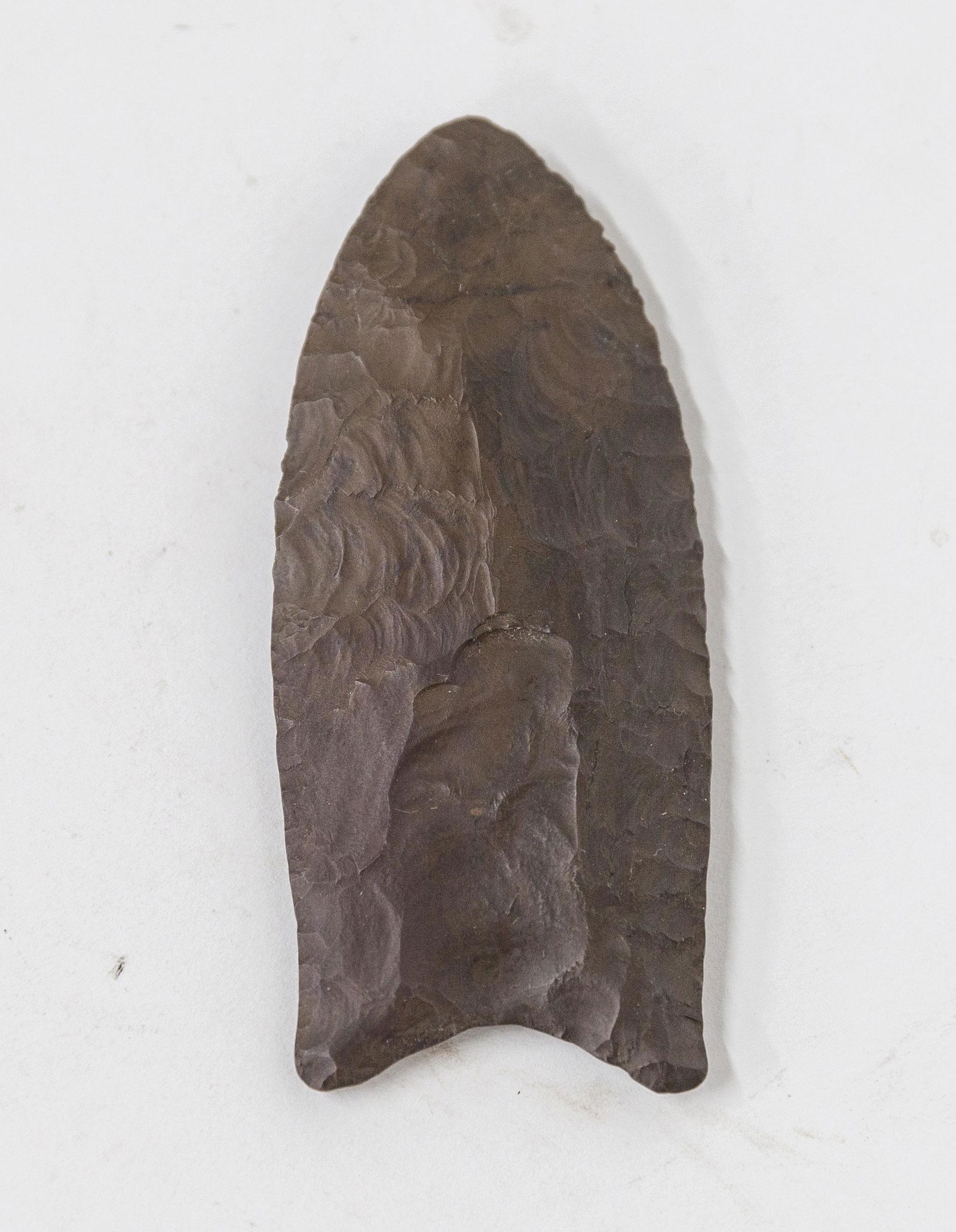 Native American 3 5/8" Paleo Quad Point (1 of 4)